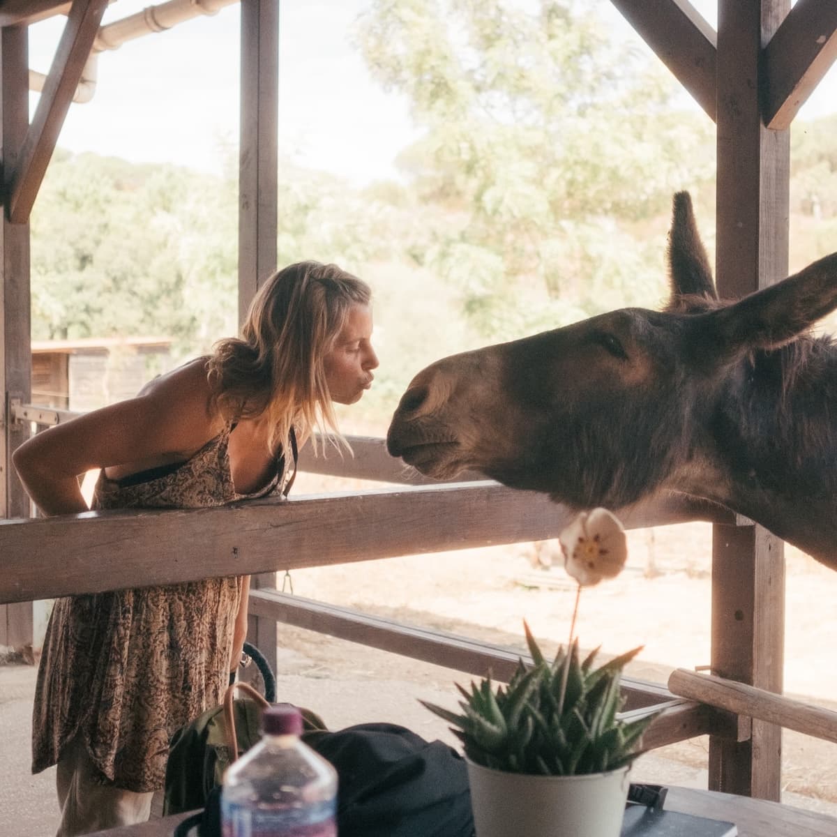 Steffi Donkey Centre Manager & Tour Guide