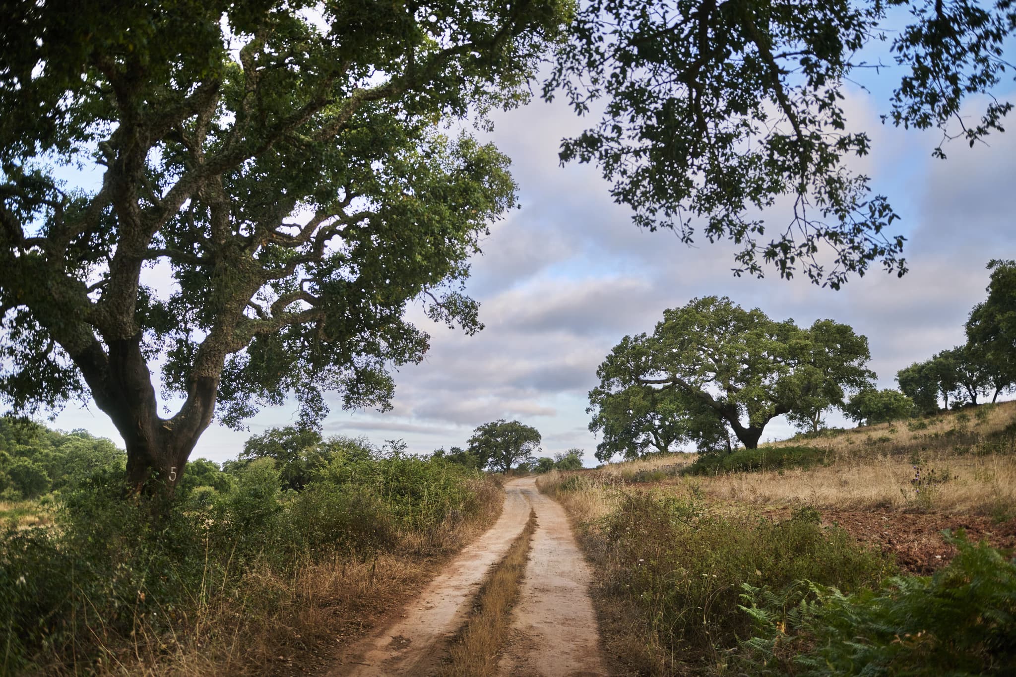 Multi-day Hike