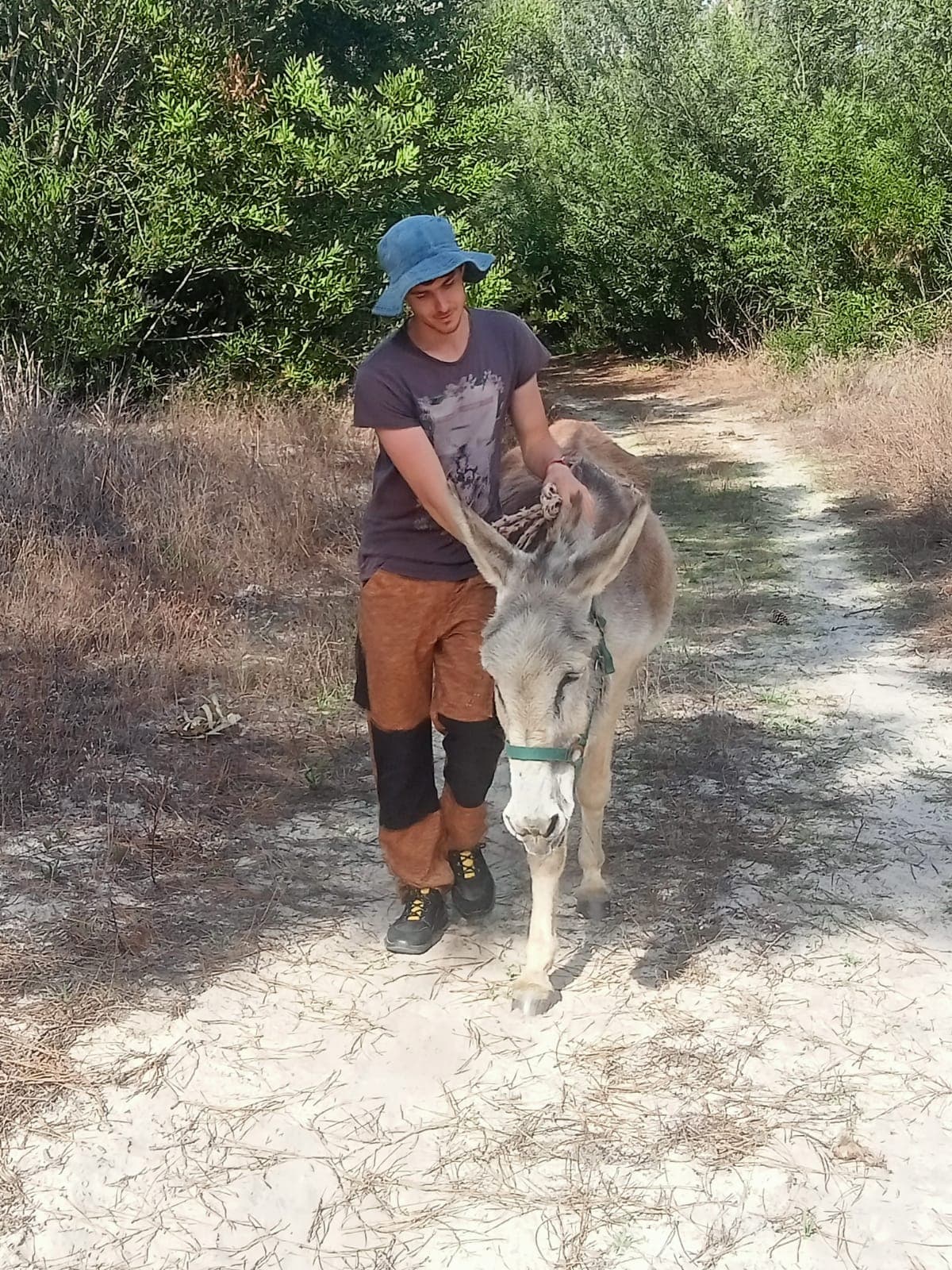 Volunteer with the donkeys