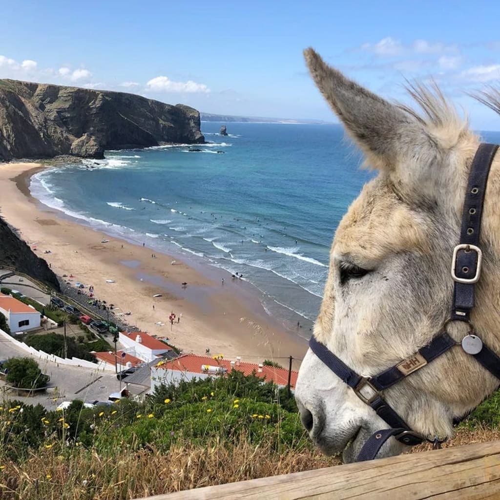 Mehrtageswanderung: Carrapateira – Aljezur